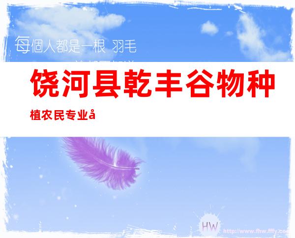 饶河县乾丰谷物种植农民专业合作社